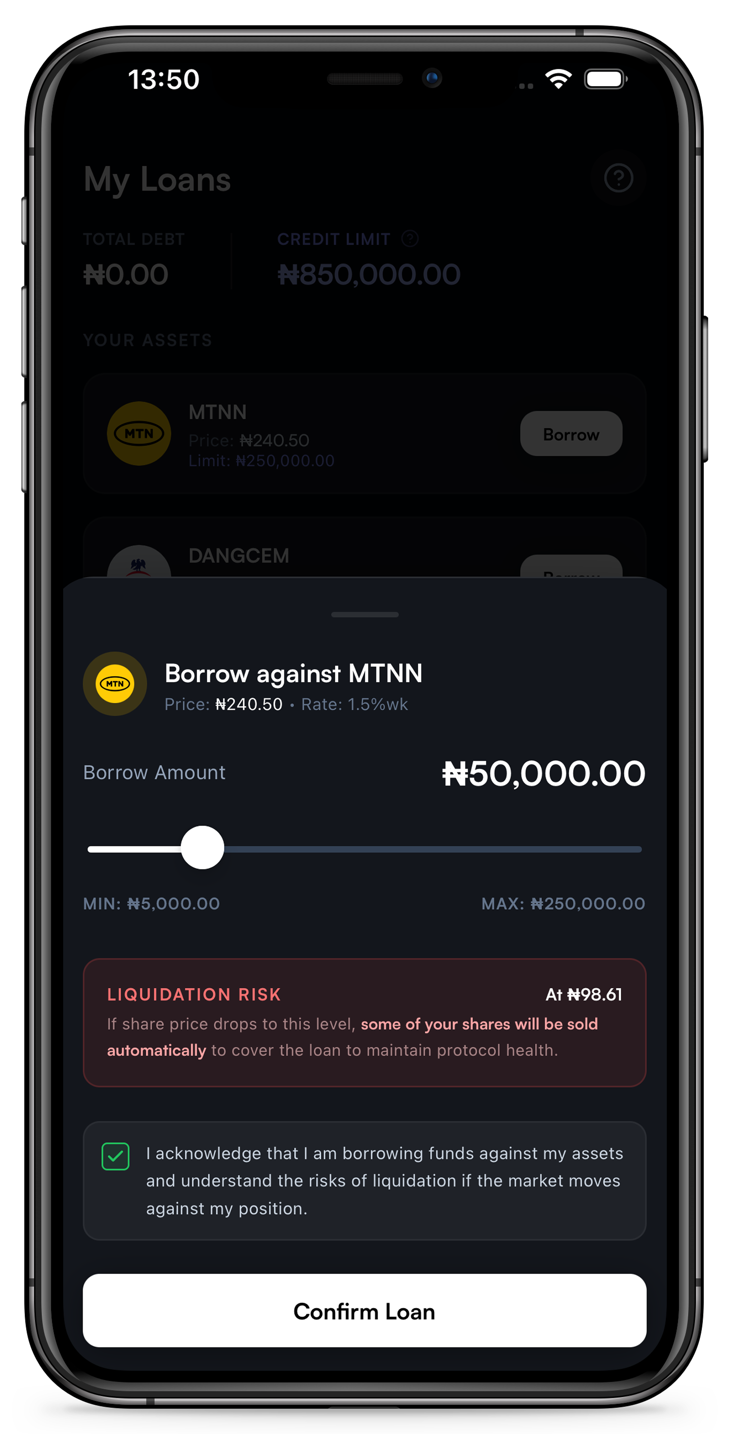 Borrow Against Your Equity Portfolio